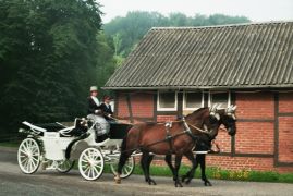 traumhafte weisse Hochzeitskutsche mit zwei Pferden